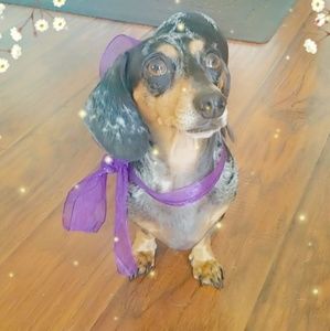 Thanks for stopping by my closet!